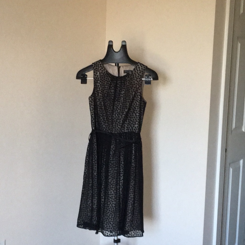 Black Lacy dress with polka dots